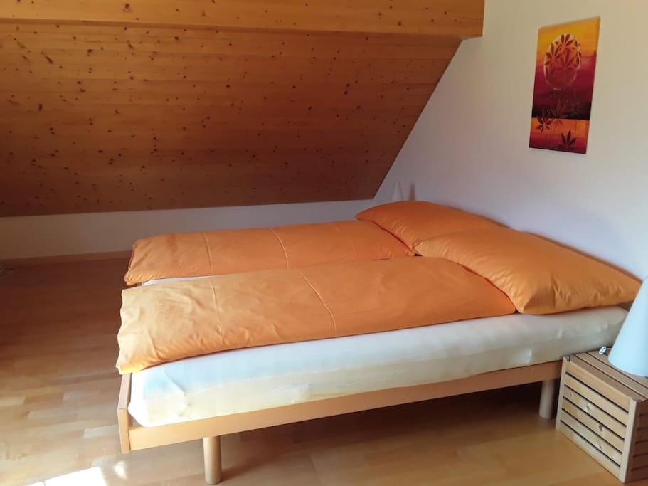 Zwinglis Ferienwohnung Rosi Nesslau Buitenkant foto